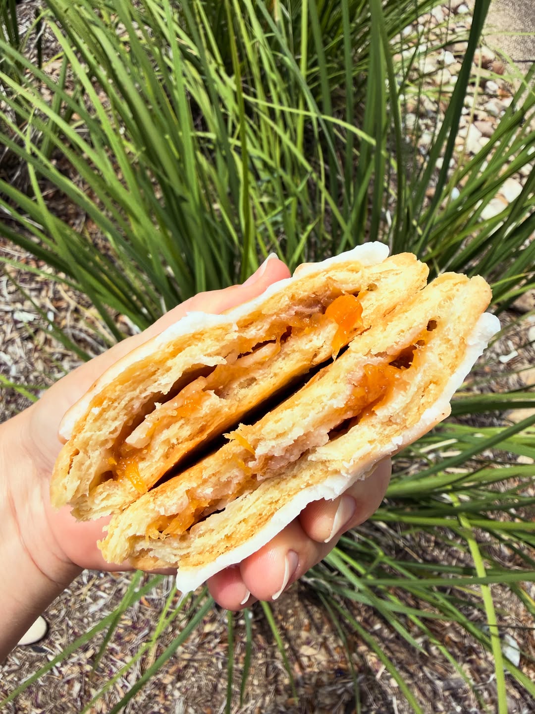 Inside a peaches and cream toaster pastry