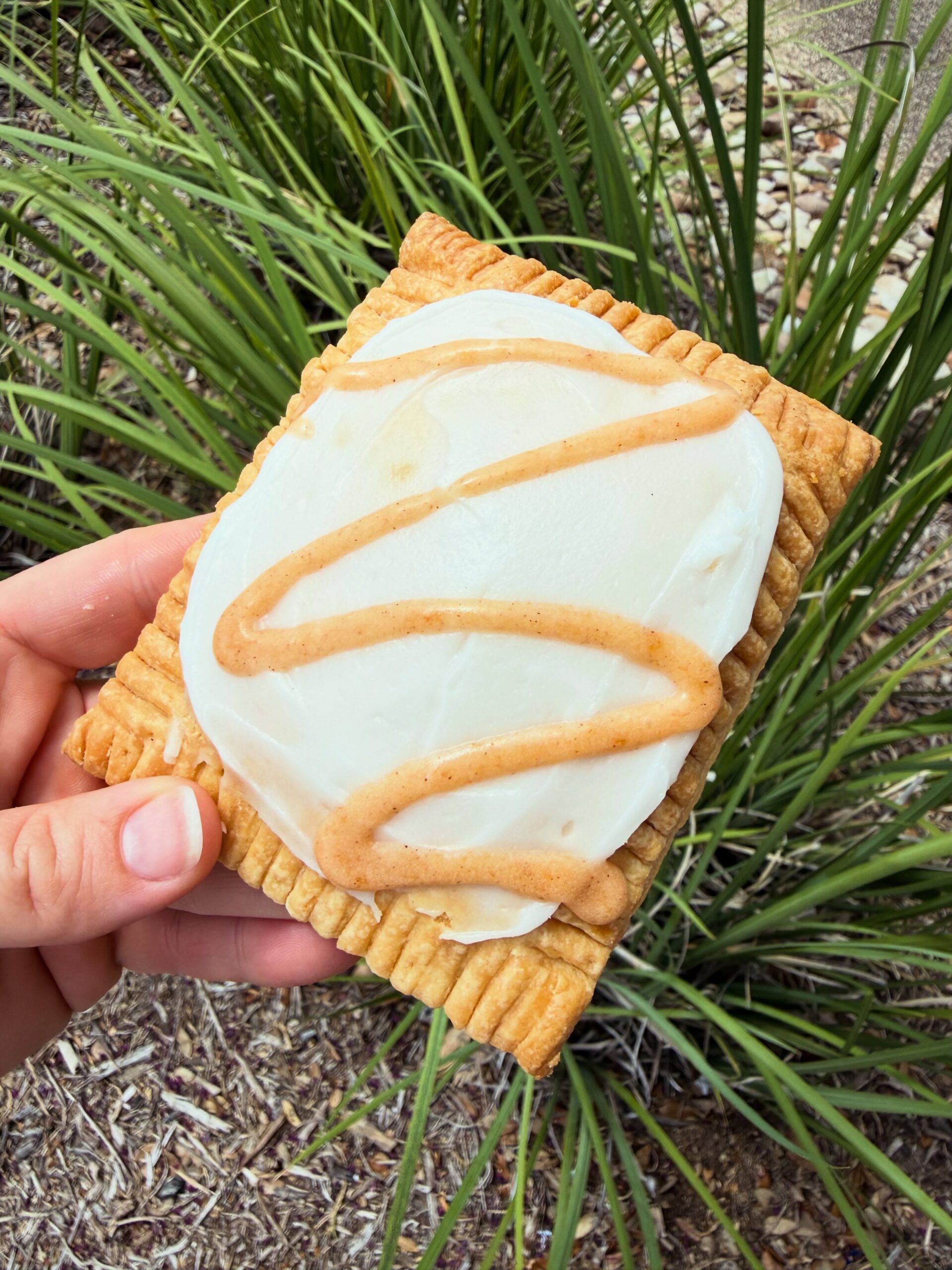 Peaches and cream toaster pastry